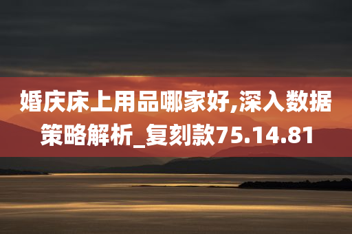 婚庆床上用品哪家好,深入数据策略解析_复刻款75.14.81