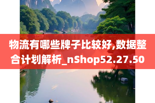 物流有哪些牌子比较好,数据整合计划解析_nShop52.27.50