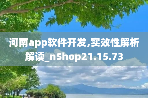 河南app软件开发,实效性解析解读_nShop21.15.73