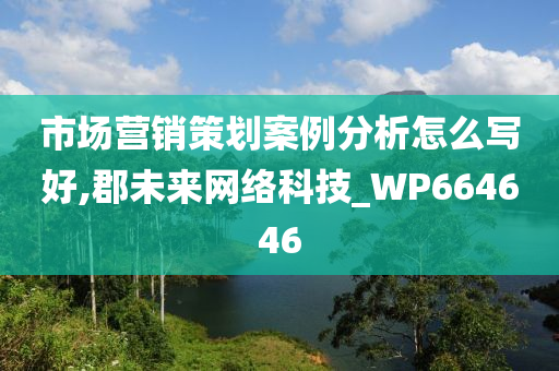 市场营销策划案例分析怎么写好,郡未来网络科技_WP664646