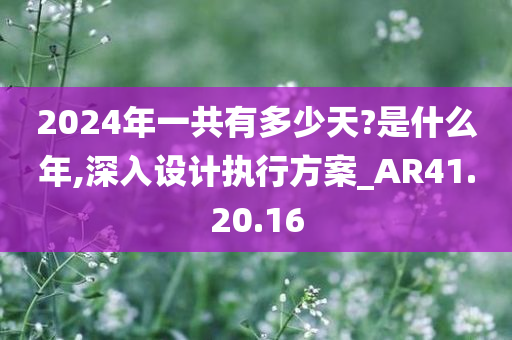 2024年一共有多少天?是什么年,深入设计执行方案_AR41.20.16