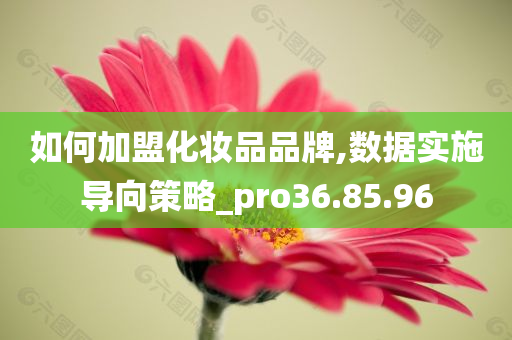 如何加盟化妆品品牌,数据实施导向策略_pro36.85.96