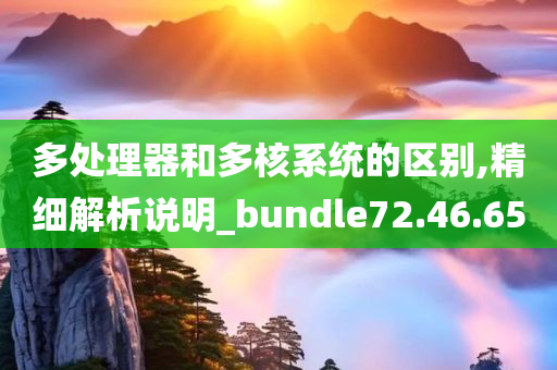 多处理器和多核系统的区别,精细解析说明_bundle72.46.65