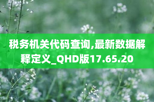 税务机关代码查询,最新数据解释定义_QHD版17.65.20