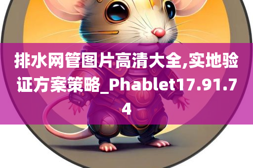 排水网管图片高清大全,实地验证方案策略_Phablet17.91.74