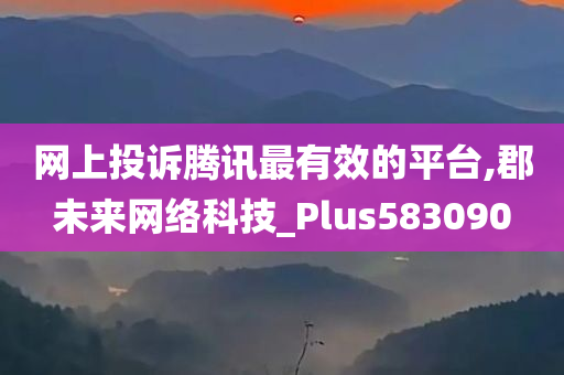 网上投诉腾讯最有效的平台,郡未来网络科技_Plus583090