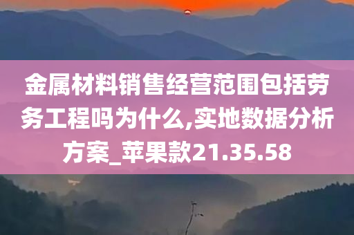 金属材料销售经营范围包括劳务工程吗为什么,实地数据分析方案_苹果款21.35.58