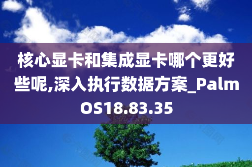 核心显卡和集成显卡哪个更好些呢,深入执行数据方案_PalmOS18.83.35