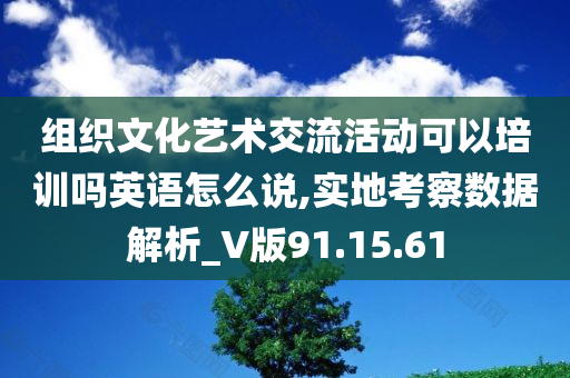 组织文化艺术交流活动可以培训吗英语怎么说,实地考察数据解析_V版91.15.61