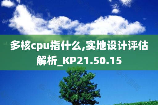 多核cpu指什么,实地设计评估解析_KP21.50.15