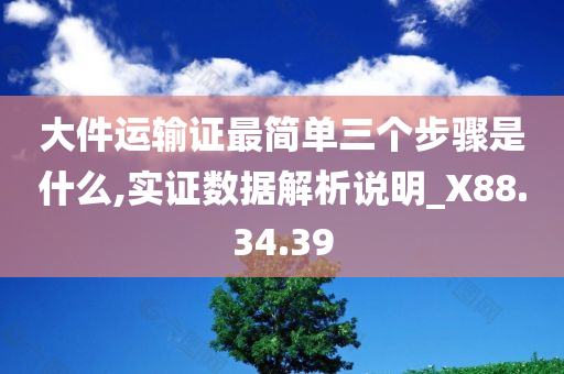 大件运输证最简单三个步骤是什么,实证数据解析说明_X88.34.39