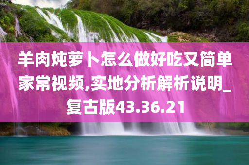 羊肉炖萝卜怎么做好吃又简单家常视频,实地分析解析说明_复古版43.36.21