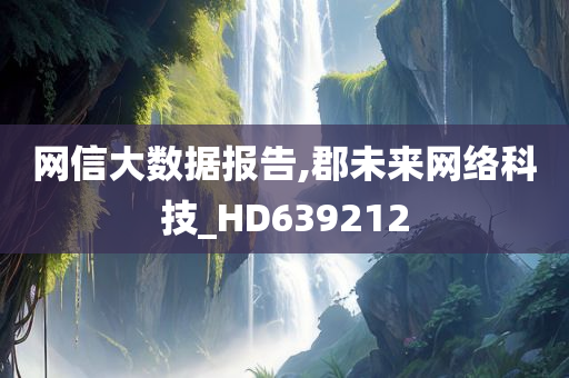 网信大数据报告,郡未来网络科技_HD639212