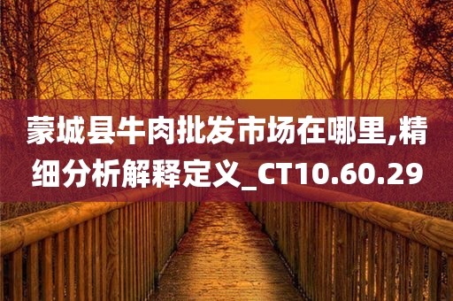 蒙城县牛肉批发市场在哪里,精细分析解释定义_CT10.60.29