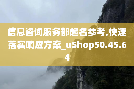 信息咨询服务部起名参考,快速落实响应方案_uShop50.45.64