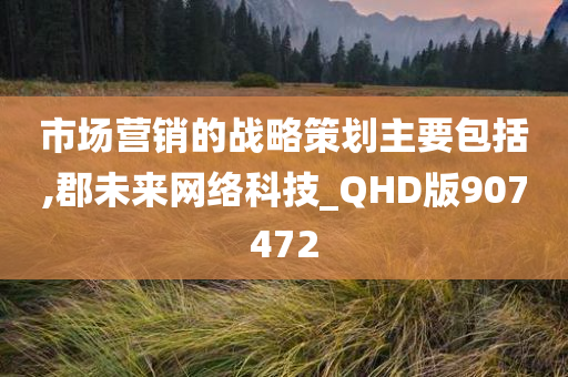 市场营销的战略策划主要包括,郡未来网络科技_QHD版907472