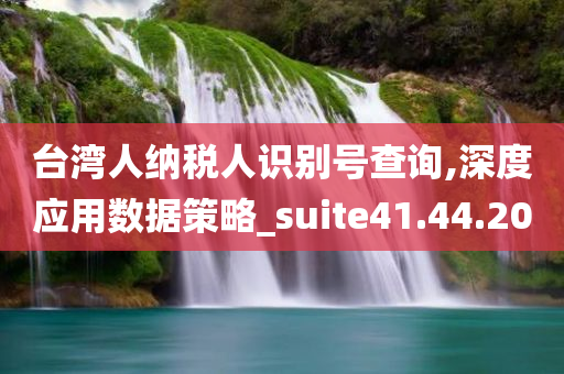 台湾人纳税人识别号查询,深度应用数据策略_suite41.44.20