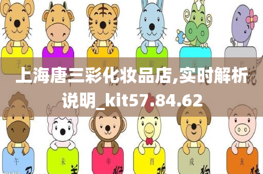 上海唐三彩化妆品店,实时解析说明_kit57.84.62