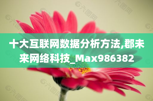 十大互联网数据分析方法,郡未来网络科技_Max986382