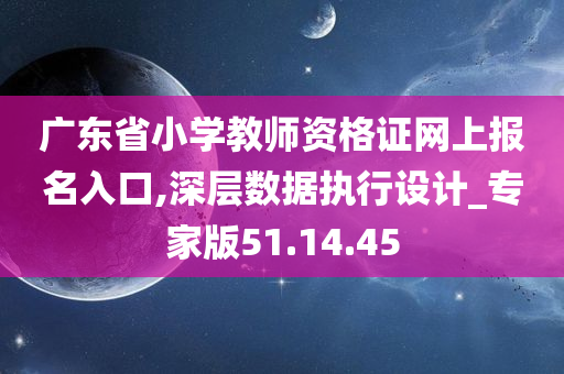 广东省小学教师资格证网上报名入口,深层数据执行设计_专家版51.14.45