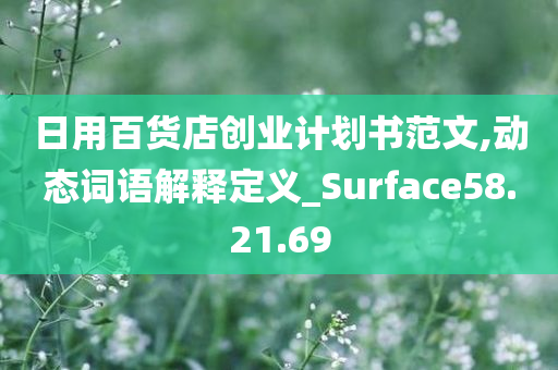 日用百货店创业计划书范文,动态词语解释定义_Surface58.21.69