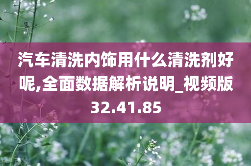 汽车清洗内饰用什么清洗剂好呢,全面数据解析说明_视频版32.41.85