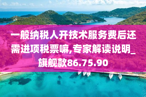 一般纳税人开技术服务费后还需进项税票嘛,专家解读说明_旗舰款86.75.90