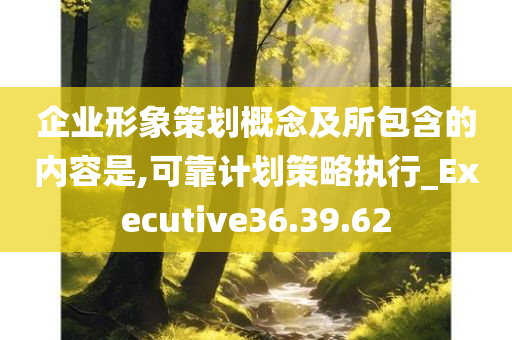 企业形象策划概念及所包含的内容是,可靠计划策略执行_Executive36.39.62