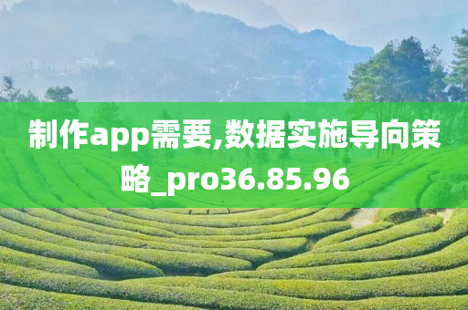 制作app需要,数据实施导向策略_pro36.85.96