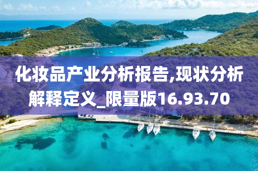 化妆品产业分析报告,现状分析解释定义_限量版16.93.70