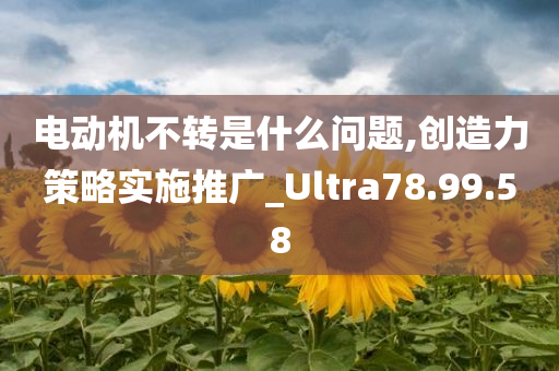 电动机不转是什么问题,创造力策略实施推广_Ultra78.99.58