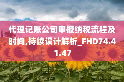 代理记账公司申报纳税流程及时间,持续设计解析_FHD74.41.47