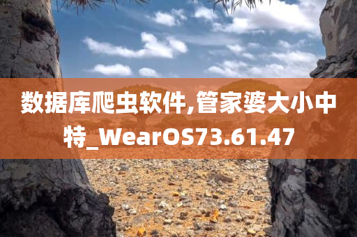 数据库爬虫软件,管家婆大小中特_WearOS73.61.47