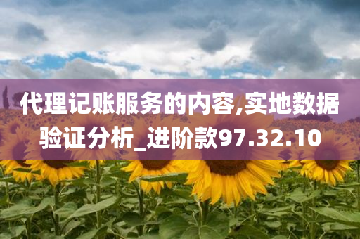 代理记账服务的内容,实地数据验证分析_进阶款97.32.10