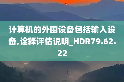 计算机的外围设备包括输入设备,诠释评估说明_HDR79.62.22