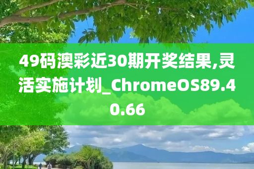 49码澳彩近30期开奖结果,灵活实施计划_ChromeOS89.40.66