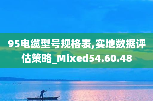 95电缆型号规格表,实地数据评估策略_Mixed54.60.48