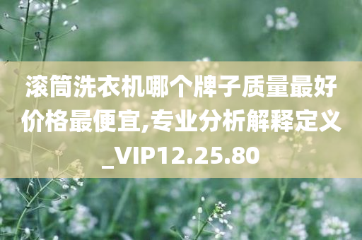 滚筒洗衣机哪个牌子质量最好价格最便宜,专业分析解释定义_VIP12.25.80