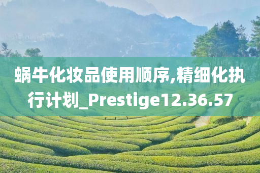 蜗牛化妆品使用顺序,精细化执行计划_Prestige12.36.57