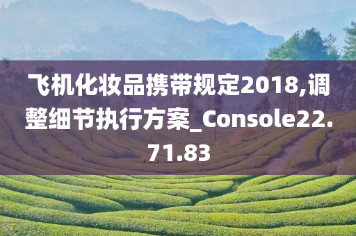 飞机化妆品携带规定2018,调整细节执行方案_Console22.71.83