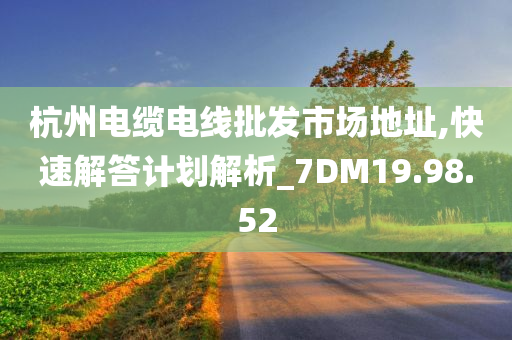 杭州电缆电线批发市场地址,快速解答计划解析_7DM19.98.52