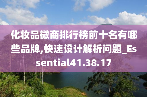 化妆品微商排行榜前十名有哪些品牌,快速设计解析问题_Essential41.38.17