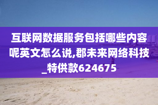 互联网数据服务包括哪些内容呢英文怎么说,郡未来网络科技_特供款624675