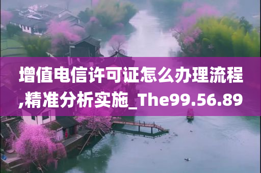 增值电信许可证怎么办理流程,精准分析实施_The99.56.89