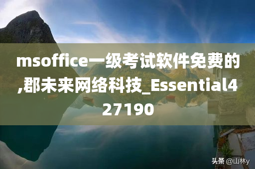 msoffice一级考试软件免费的,郡未来网络科技_Essential427190