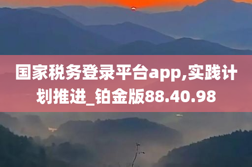 国家税务登录平台app,实践计划推进_铂金版88.40.98