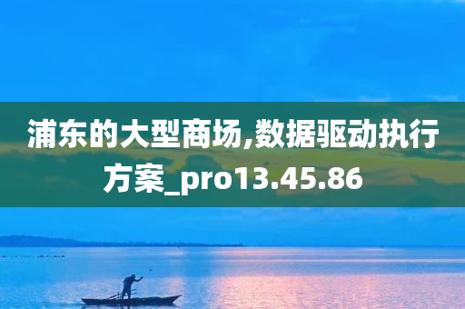 浦东的大型商场,数据驱动执行方案_pro13.45.86