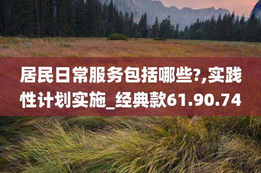 居民日常服务包括哪些?,实践性计划实施_经典款61.90.74