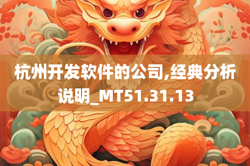 杭州开发软件的公司,经典分析说明_MT51.31.13