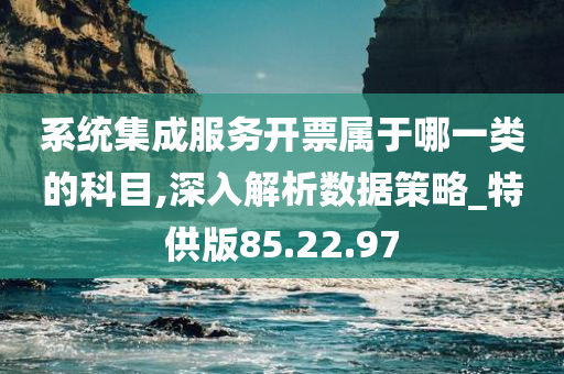 系统集成服务开票属于哪一类的科目,深入解析数据策略_特供版85.22.97